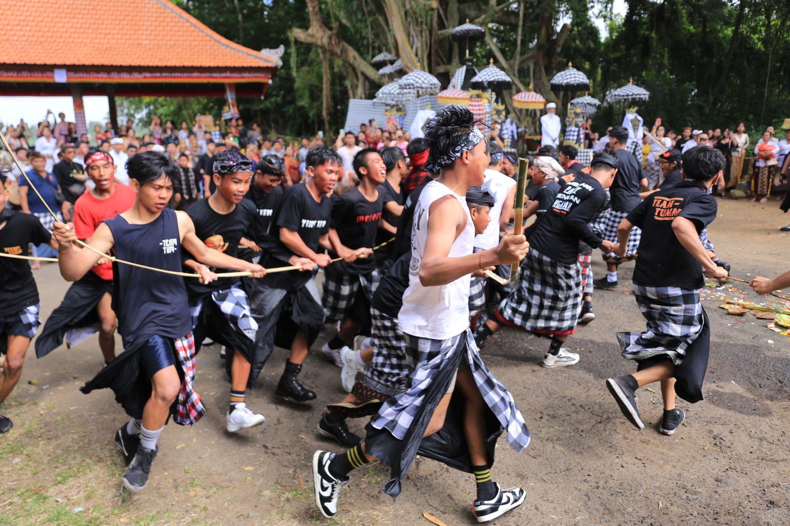 Proses saat sapi diarak keliling desa. (balihotnews/ist)