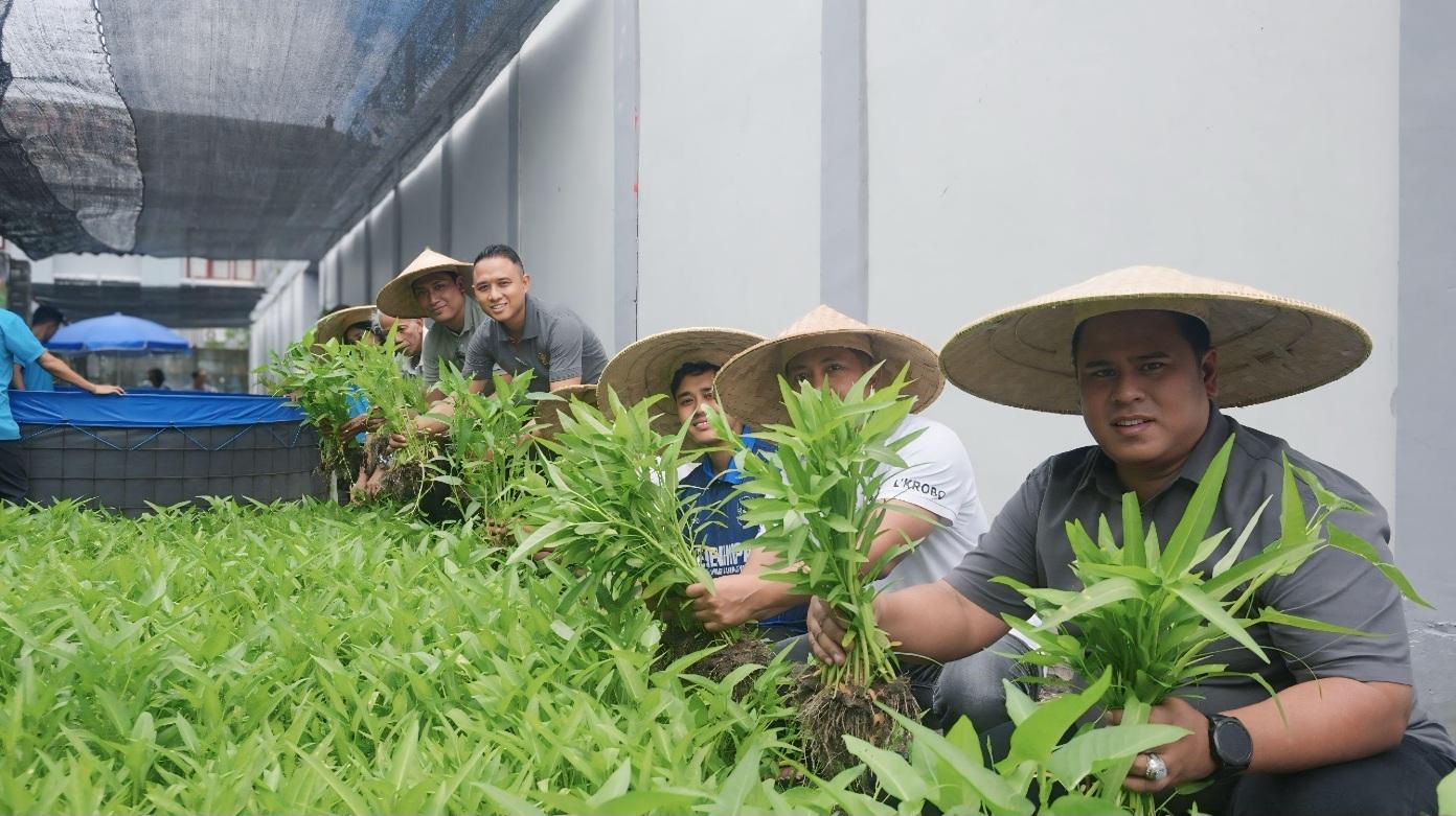 Lembaga Pemasyarakatan (Lapas) Kelas IIA Kerobokan panen kangkung dan pokcoy di kawasan Lembah Hijau, Lapas Kerobokan, pada Jumat (19/9/2025). (balihotnews/lapaskerobokan)