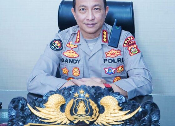 Kabid Humas Polda Bali, Kombes Pol Ariasandy. (balihotnews/istimewa)