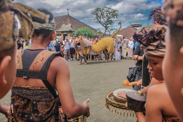 Parade Barong Macan di Desa Panglipuran, Bangli. (balihotnews/istimewa)