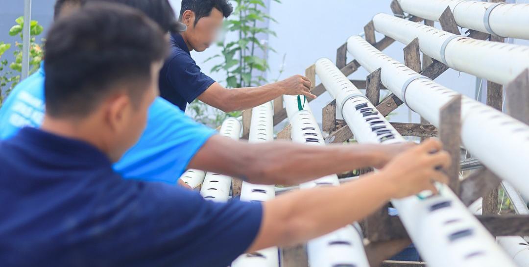 Lapas Kelas IIA Kerobokan melakukan penanaman 388 bibit pakcoy di kawasan pembangunan SAE Lembah Hijau, Kamis (25/9/2025). (balihotnews/lapaskerobokan)