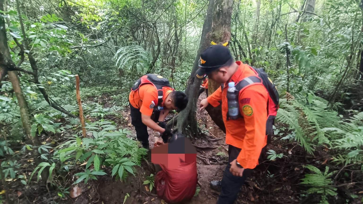 Tim SAR gabungan saat evakuasi empat pendaki asal Buleleng di Gunung Batukaru, Jumat (31/10/2025). (balihotnews/sar)